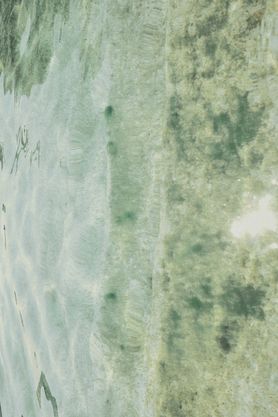 Green2